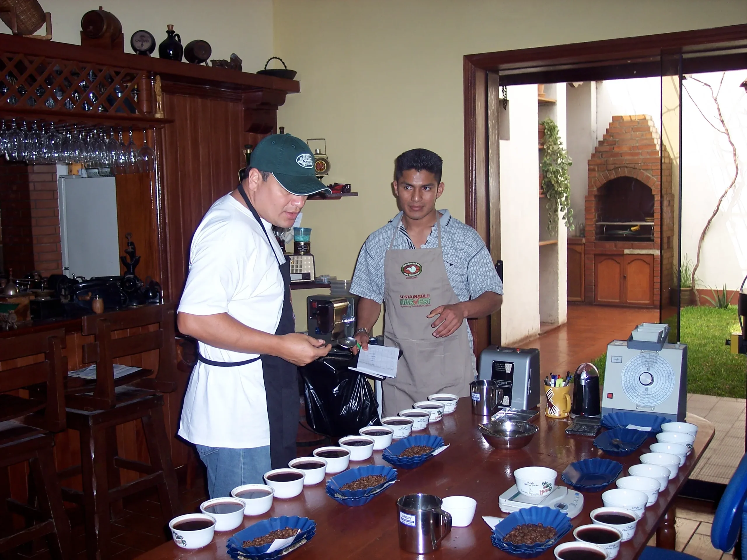 Muestras de café – clasificación